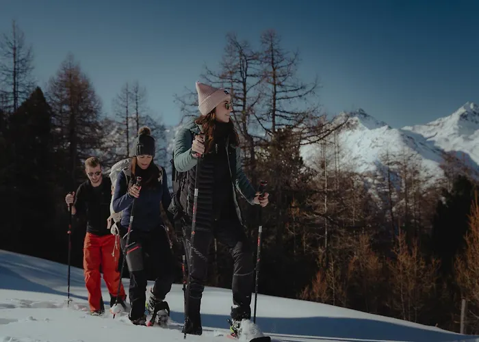 Aktiv & Hannigalp 3* Grächen