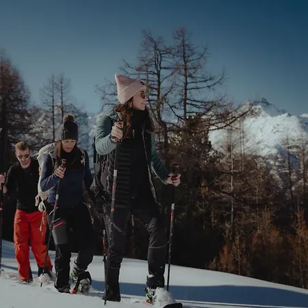 Aktiv & Hannigalp 3* Grächen